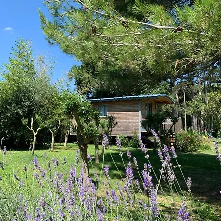 La Roulotte De Negra Apartment Montesquieu-Lauragais